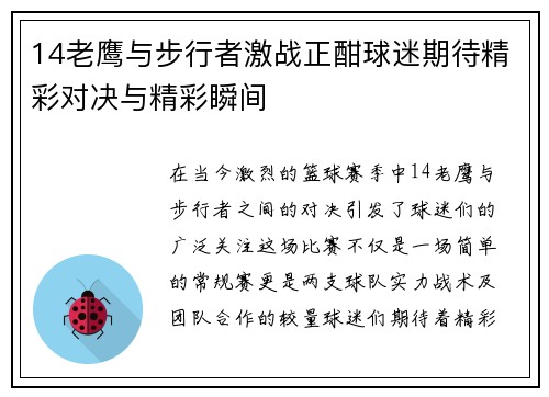 14老鹰与步行者激战正酣球迷期待精彩对决与精彩瞬间