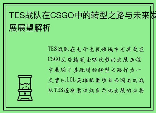 TES战队在CSGO中的转型之路与未来发展展望解析